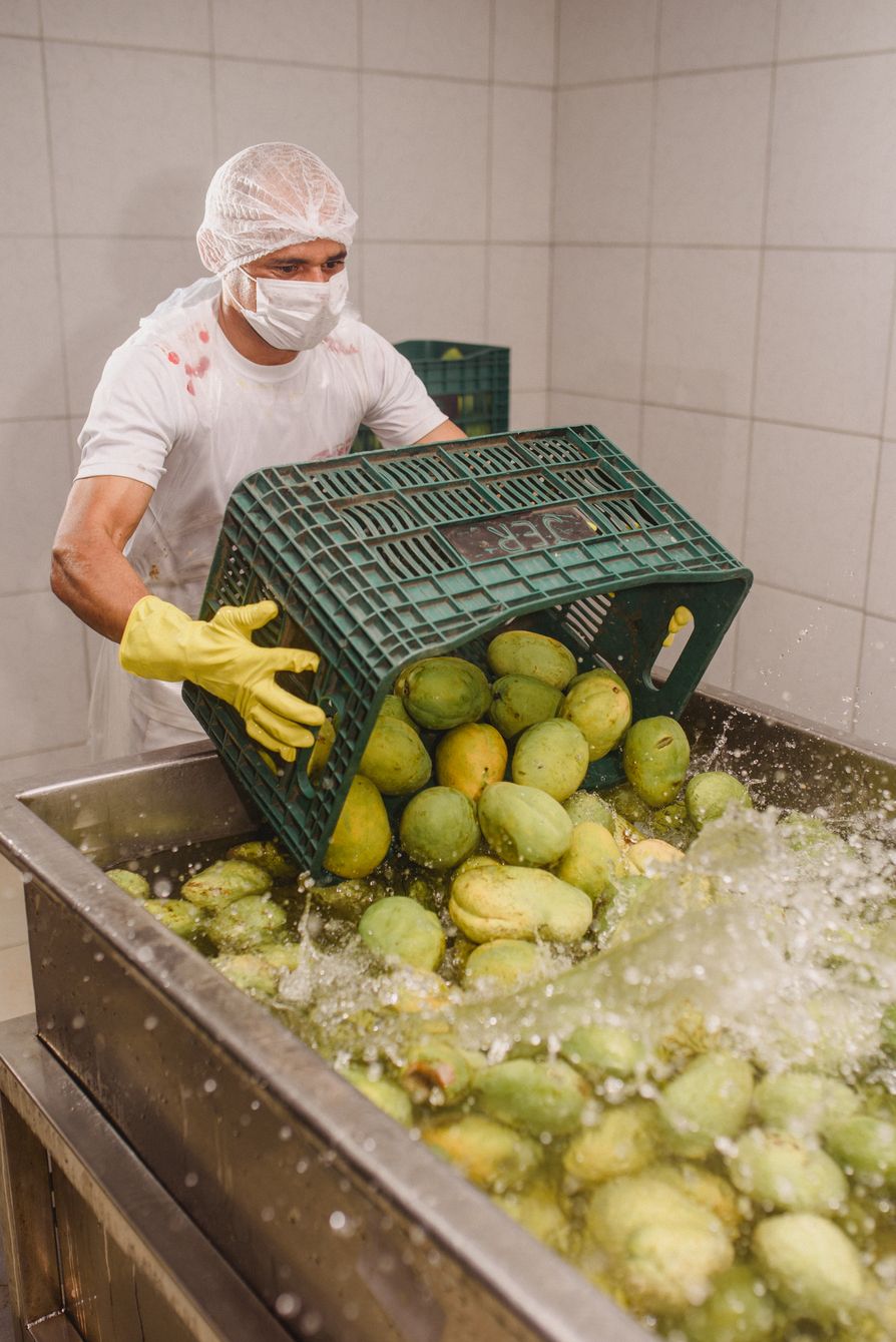 polpas-de-fruta-em-fortaleza_11